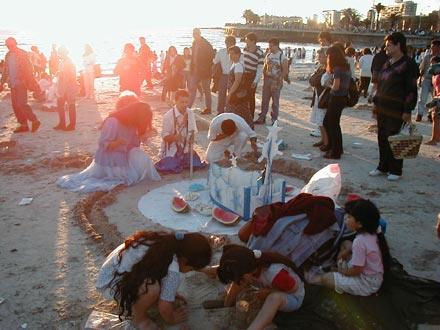 f11_01.jpg (35080 bytes)