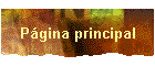 P�gina principal