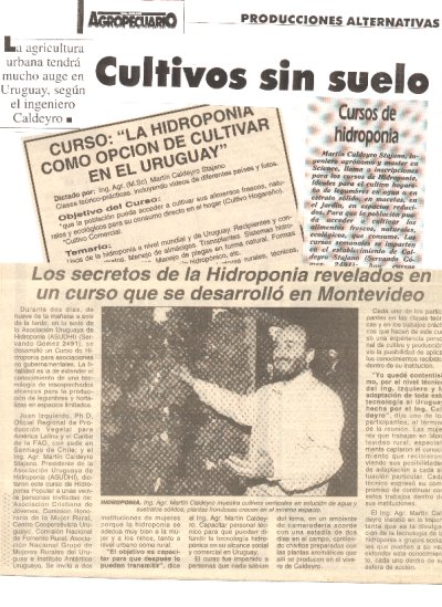 cursos.jpg (71108 bytes)