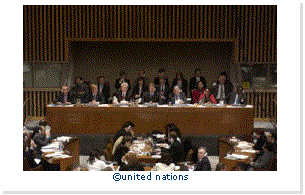 Text Box:  
united nations
