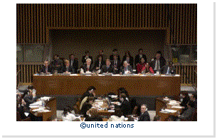 Text Box:  
united nations
